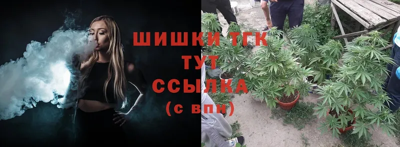 Бошки марихуана THC 21%  Гусиноозёрск 